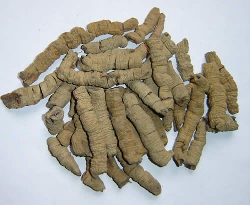 Ba Ji Tian1