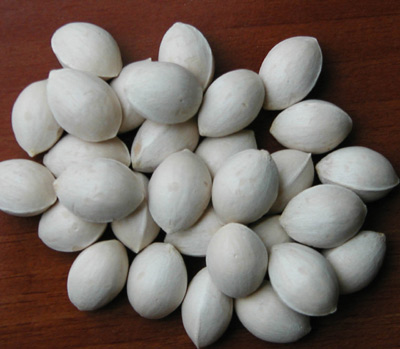 Bai Guo