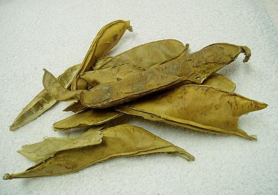Dao Dou Ke