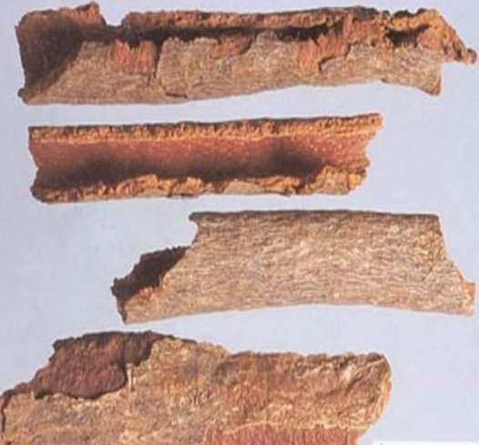 Di Feng Pi