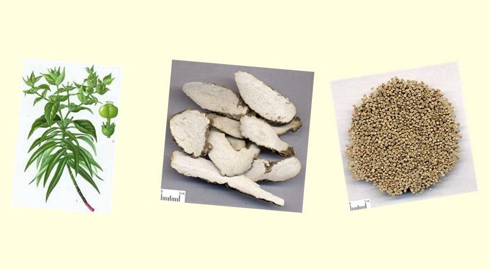 Herbs treatment