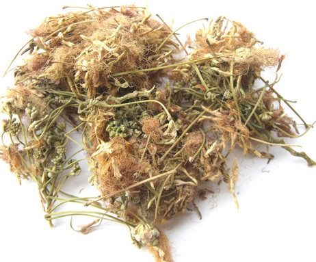 合欢花 He Huan Hua