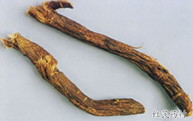 Hong Qi