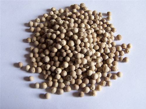 Bai Hu Jiao