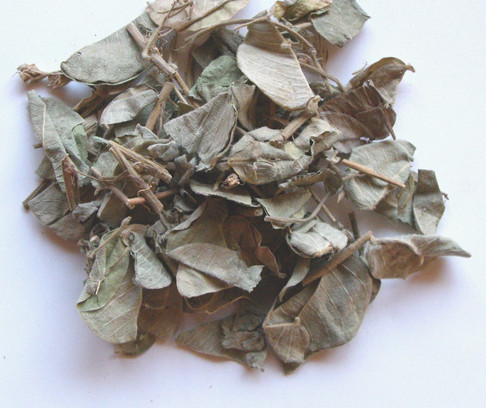 Jin Qian Cao2