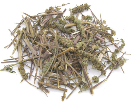 荆芥穗 Jing Jie Sui