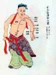 Lung Meridian in TCM