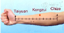 Tianyuan