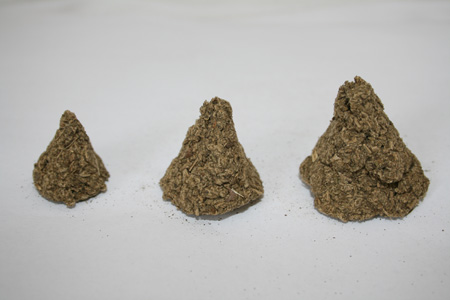 Moxibustion with Moxa Cones