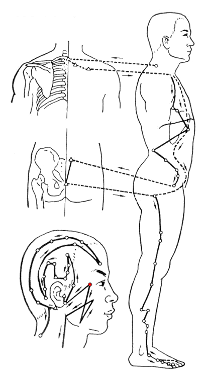 Shaoyang Gall Bladder Meridian of Foot