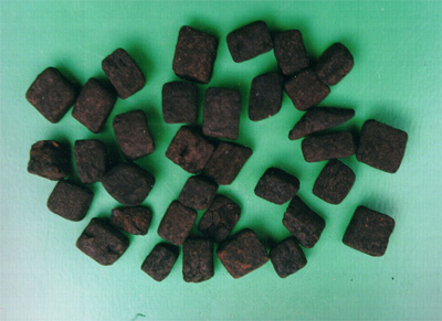 Shen Qu