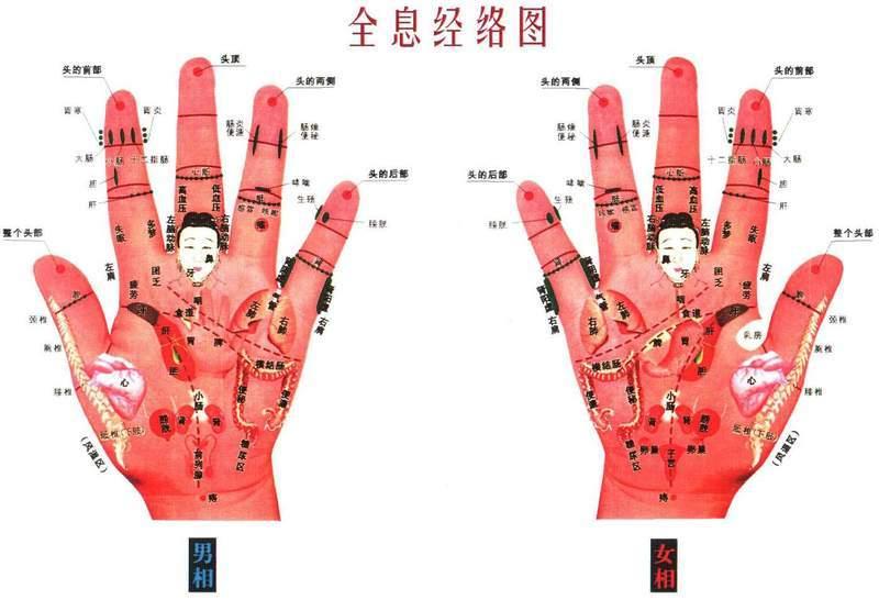 手诊经络