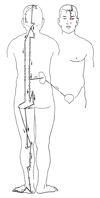 Taiyang Bladder Meridian of Foot