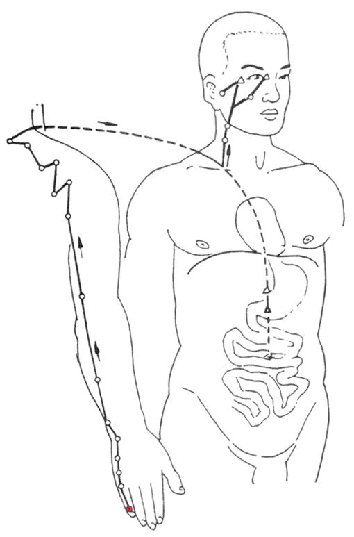 Taiyang Small Intestine Meridian of Hand