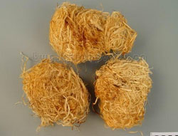 Zhu Ru