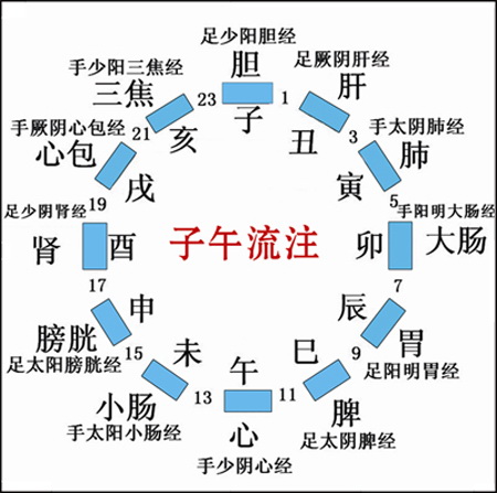Circulation