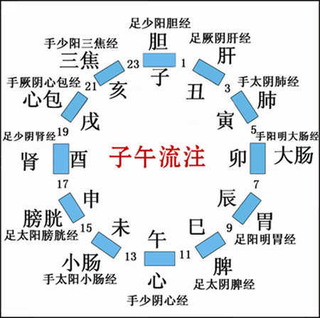 子午流注