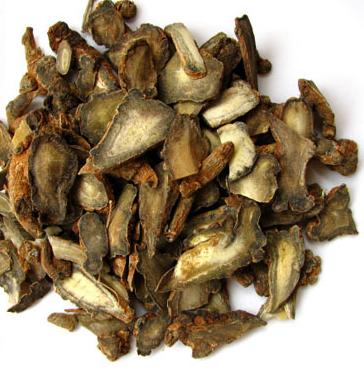 Radix Notoginseng
