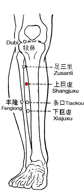 Shangjuxu