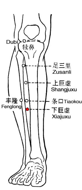 Xiajuxu