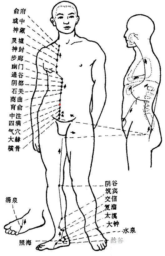 Zhongzhuxue