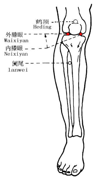 Neixiyan
