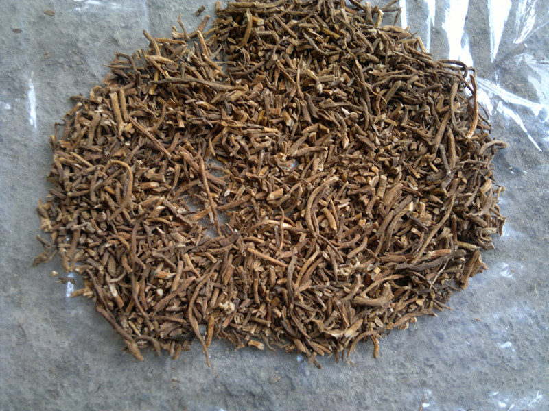 大火草