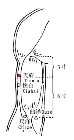 Tianfu