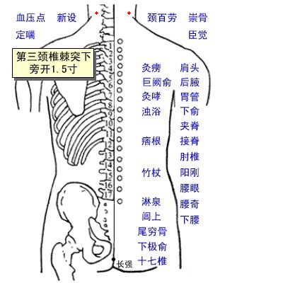 Xinshe