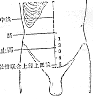 Zhixiexue