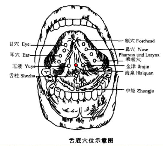 Haiquan