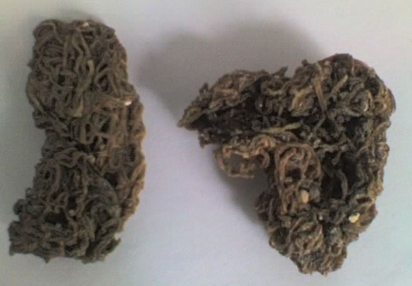 海粉