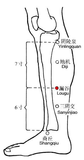 Lougu