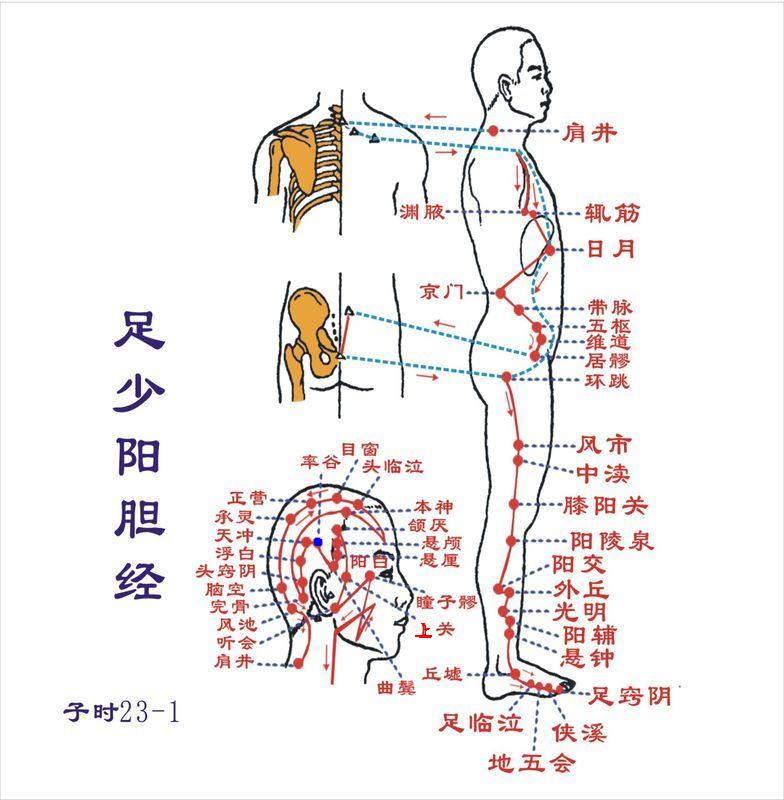 Shuaigu