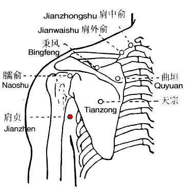 Jianzhen