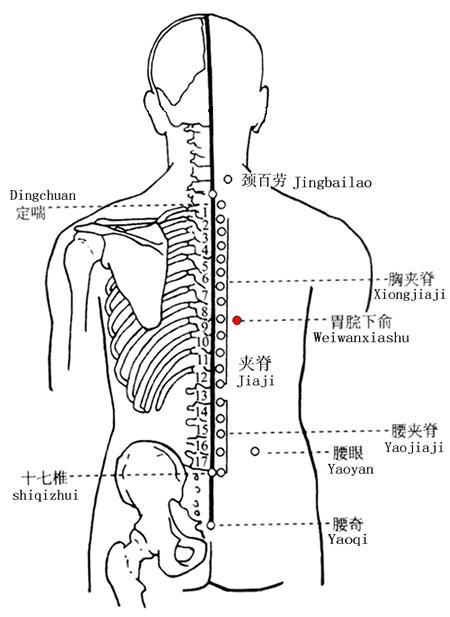 Weiwanxiashu